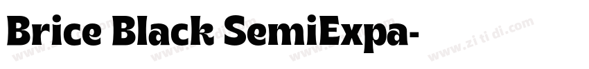 Brice Black SemiExpa字体转换 Brice Black SemiExpa字体转换